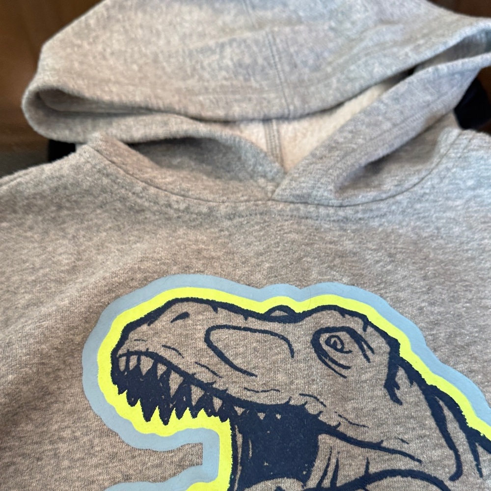 Gray Dinosaur fleece Hoodie for Kids - Picture 5 of 8